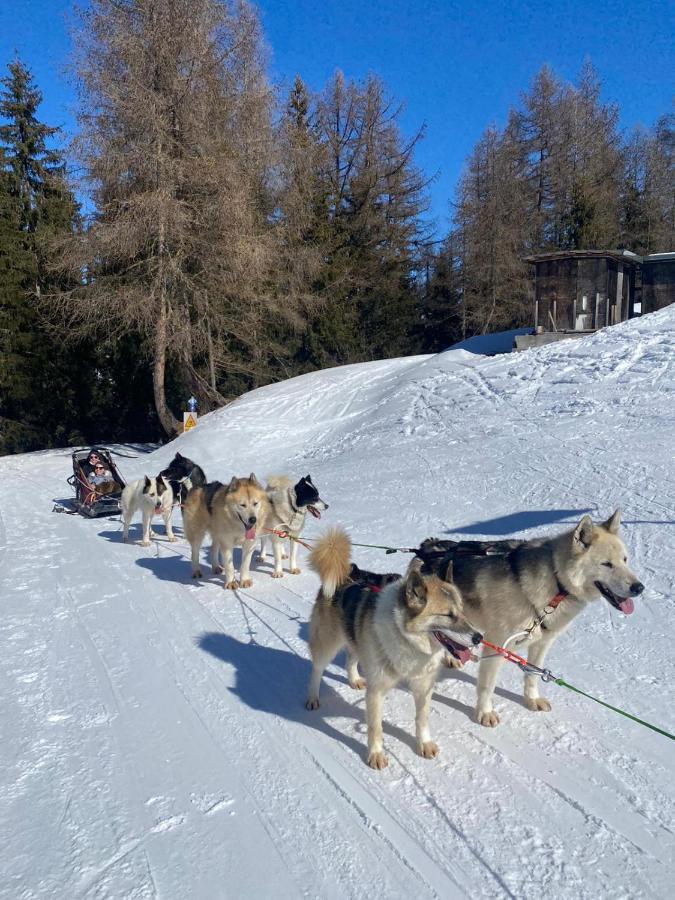 Plagne Bellecote - 5 Pers - Vue Pistes - Acces Piscine Chauffee Apartment ลาปลาญ ภายนอก รูปภาพ